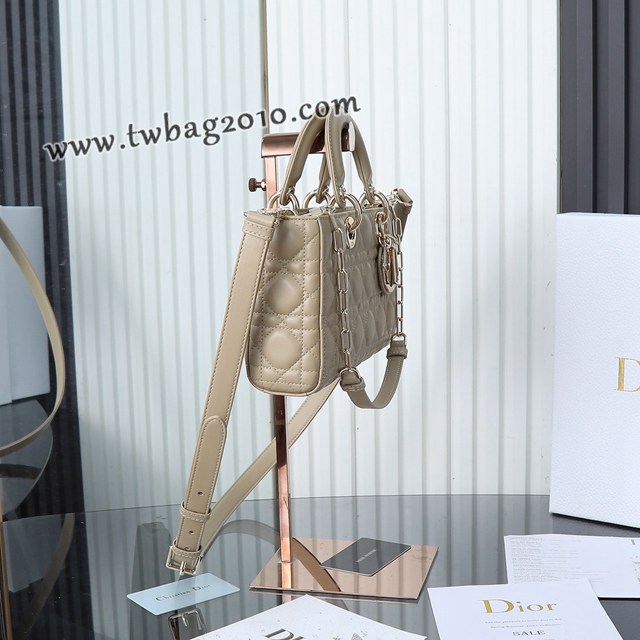 Dior专柜新款迪奥高仿原单中号大爆款D-joy手提肩背女包 djfk1506